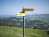 Appenzell 5629